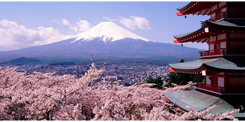 Интересное и необыкновенное в Японии. Что посмотреть  в Токио, Осаке и Киото?